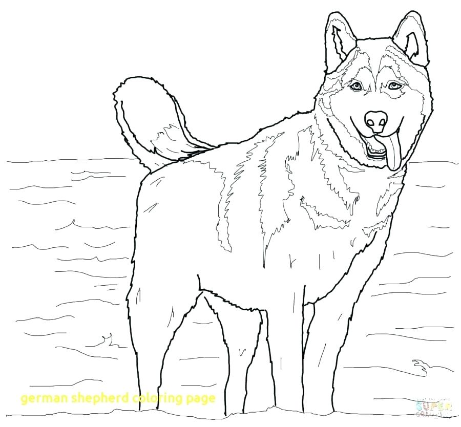 900x834 German Shepherd Coloring Pages