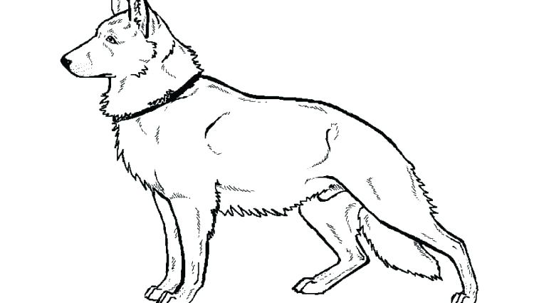 750x425 German Shepherd Coloring Pages Printable German Sheperd Free