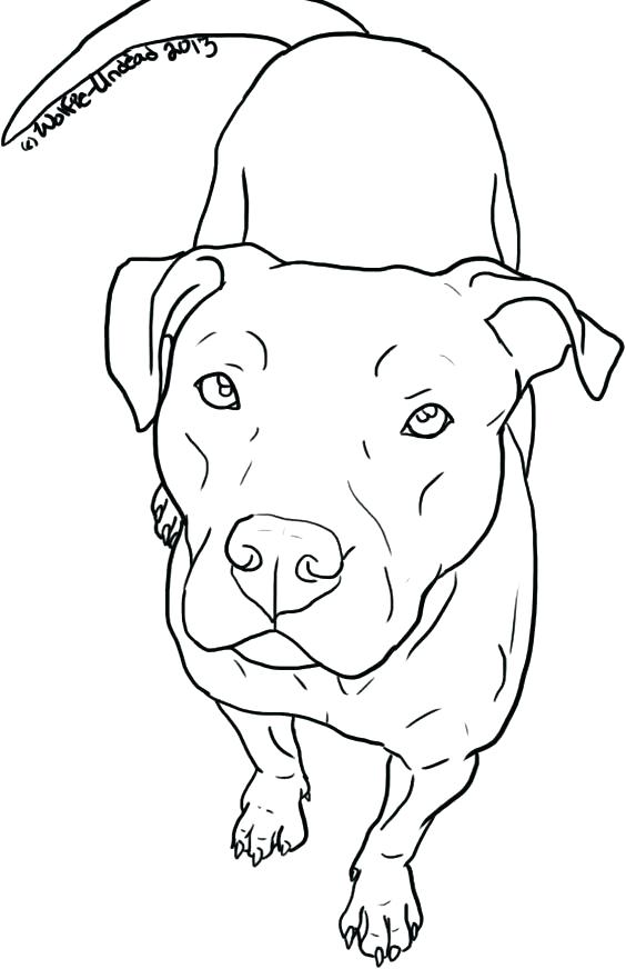 564x872 German Shepherd Coloring Pages Printable Shepherd Coloring Pages