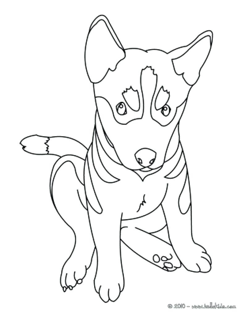 793x1024 Professional German Shepherd Puppy Coloring Pages Best Of Shepard