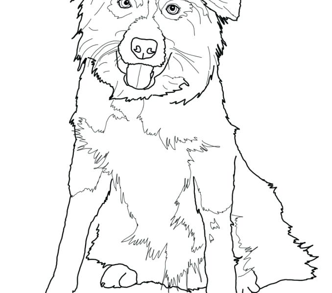 678x600 Shepherd Coloring Pages The Good Shepherd Coloring Pages Birth