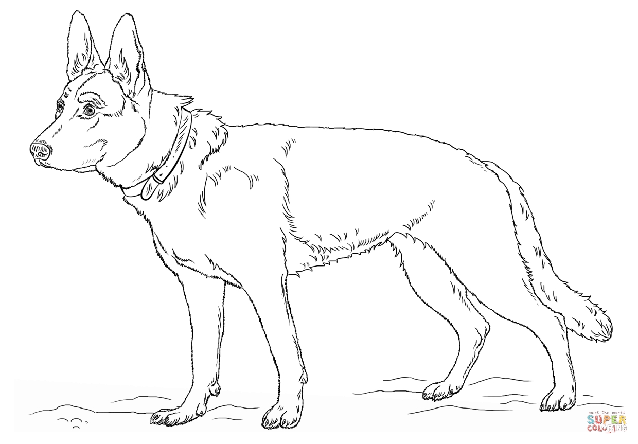 1240x863 German Shepherd Puppies Coloring Pages Collection Coloring