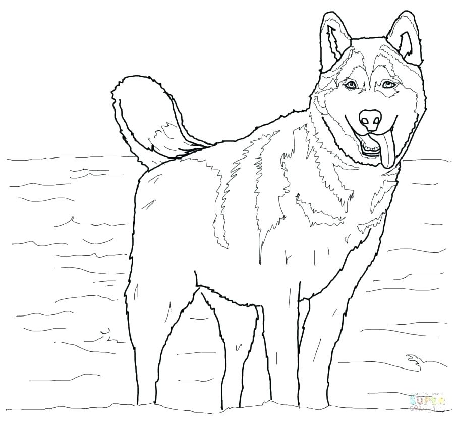 900x834 Shepherd Coloring Free Coloring German Shepherd Puppy Coloring