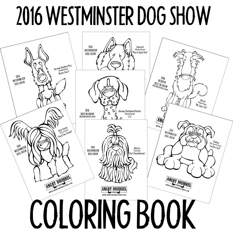 800x800 Westminster Kennel Club Dog Show