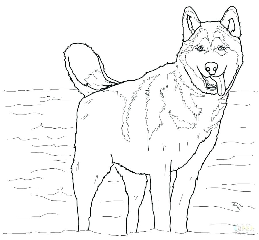 900x834 Germany Flag Coloring Page Shepherd Coloring Page Sitting Free
