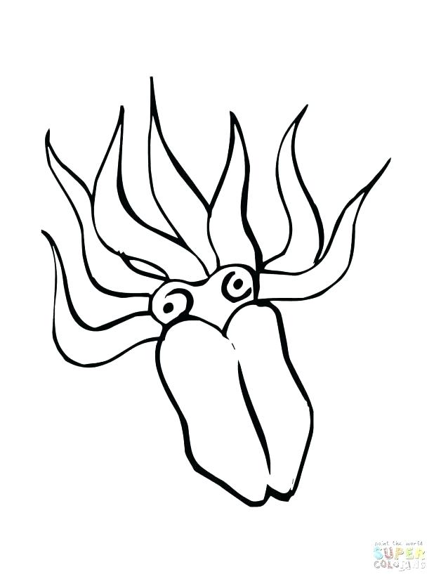 618x824 Squid Coloring Page Squid Coloring Page Squid Coloring Page
