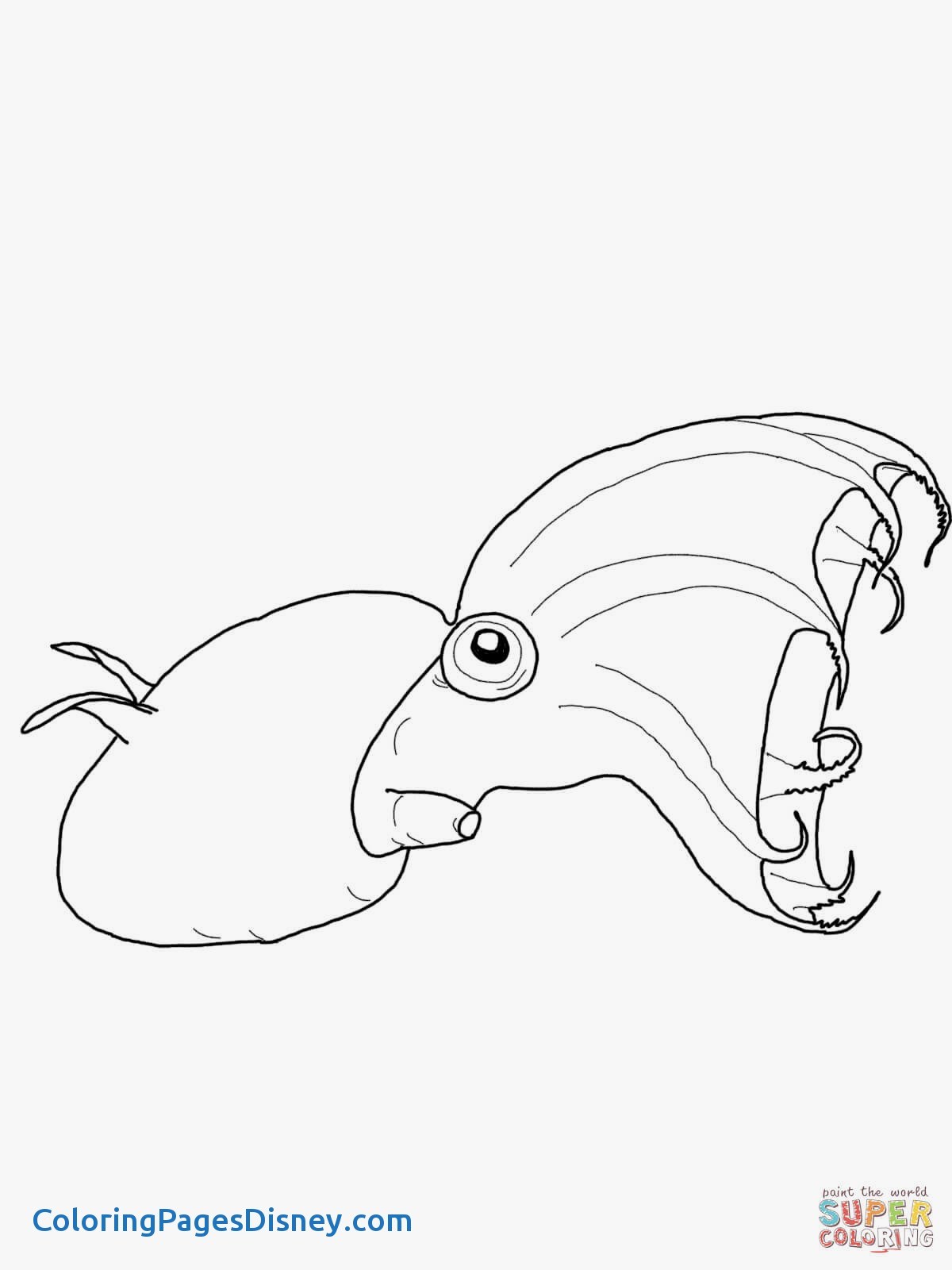 1200x1600 Squid Coloring Pages Inspirational Giant Squid Drawing