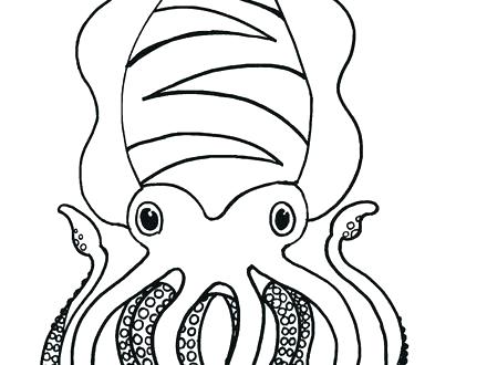 440x330 Squid Coloring Pages Squid Coloring Pages Giant Squid Coloring
