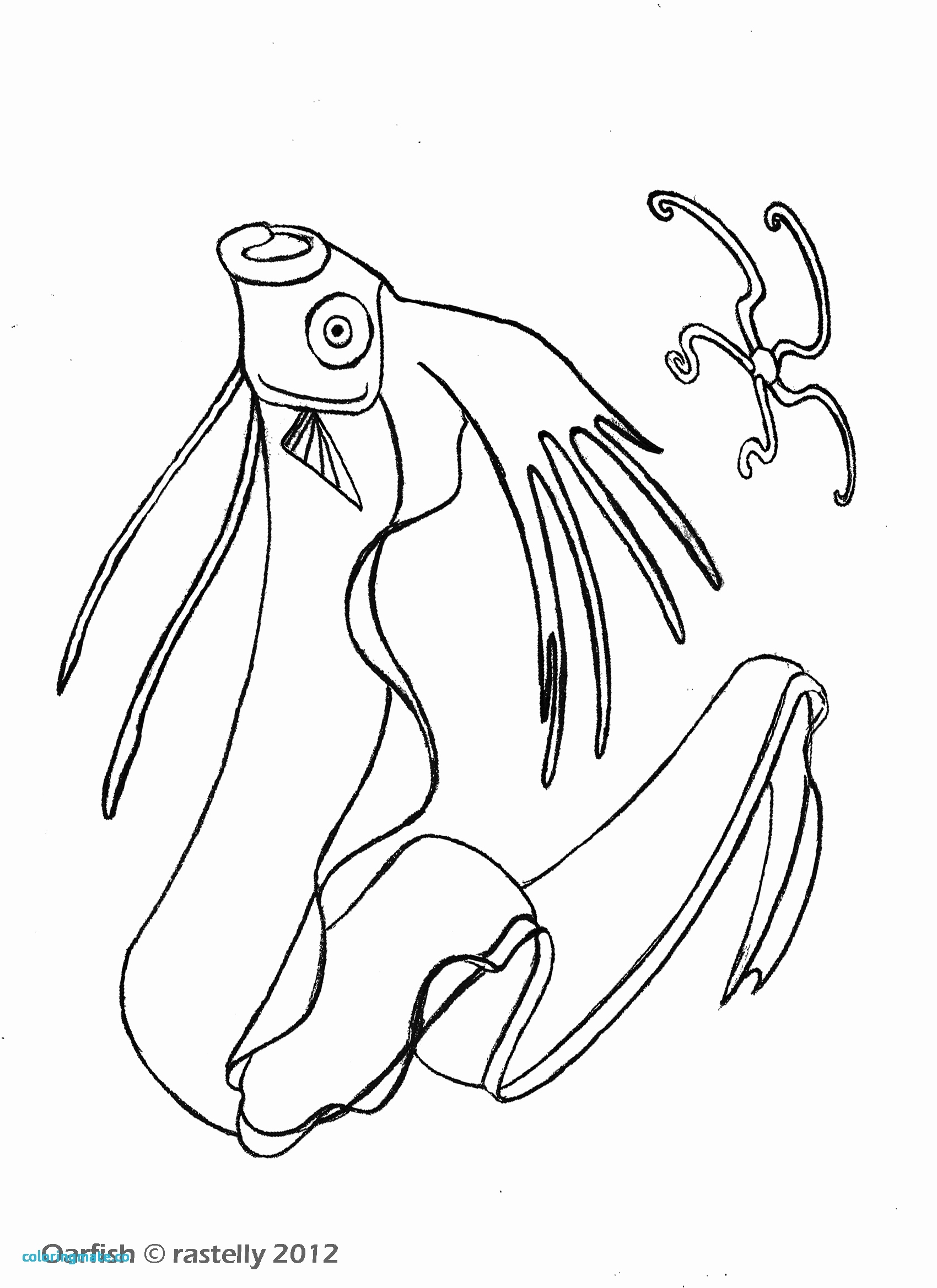 1700x2338 Growth Giant Squid Coloring Page On Pages For Children