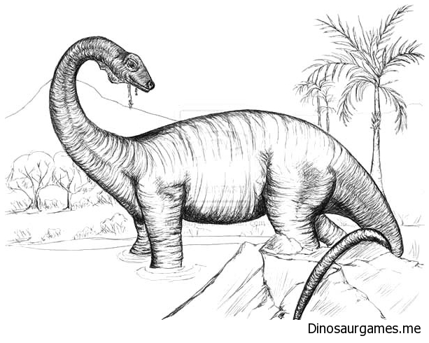 613x490 Sketch Of Diplodocus Coloring Page