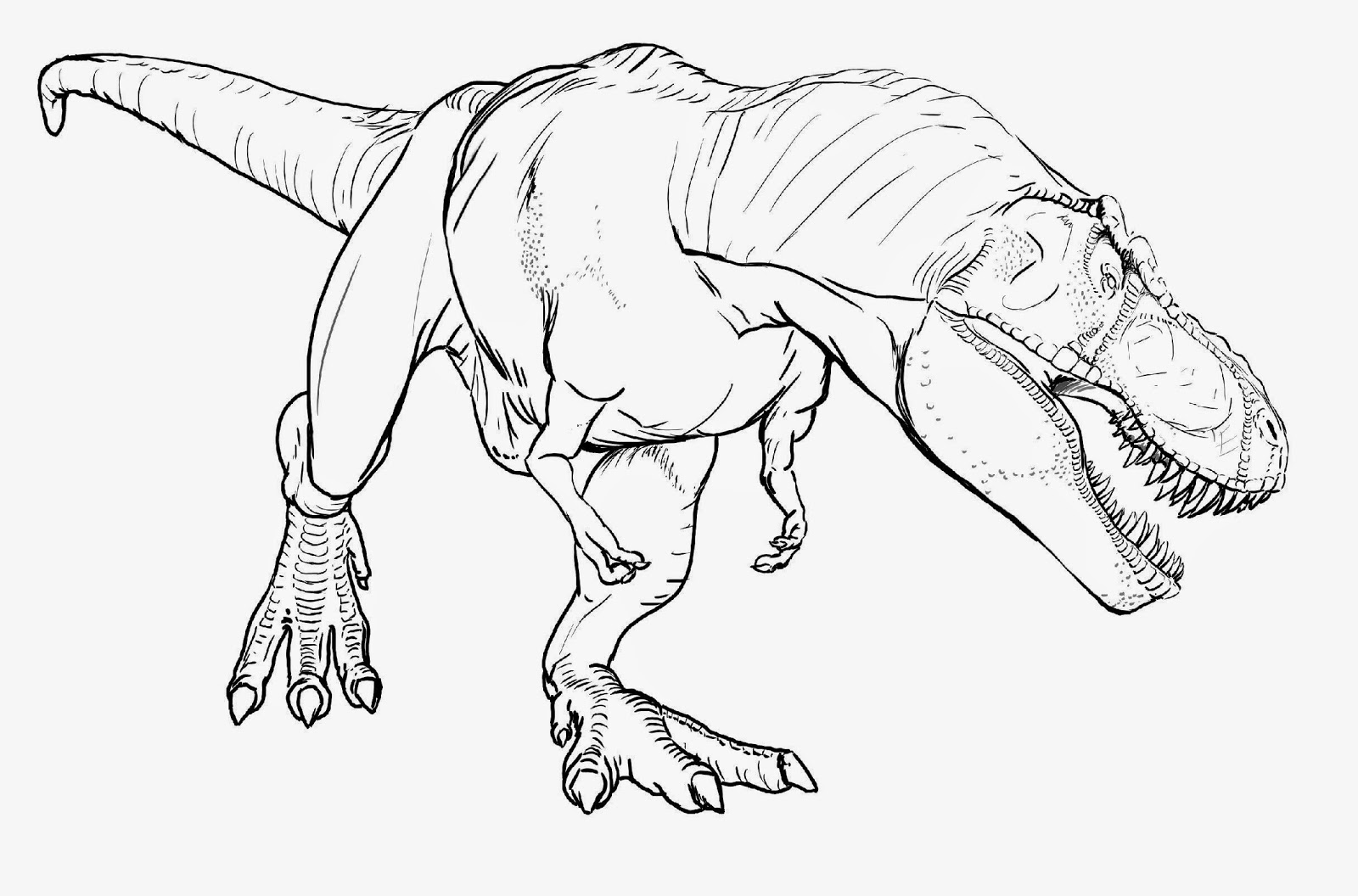 1600x1056 T Rex Dinosaur Coloring Pages Rex Tyrannosauru Page