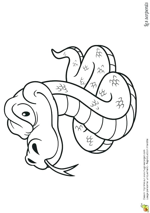 595x842 Gila Monster Coloring Page Lizard Coloring Page Coloring Pages