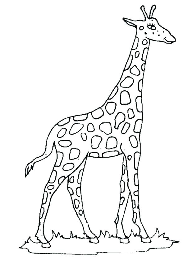 618x838 Giraffe Coloring Pages Baby Giraffe Coloring Pages Free Printable