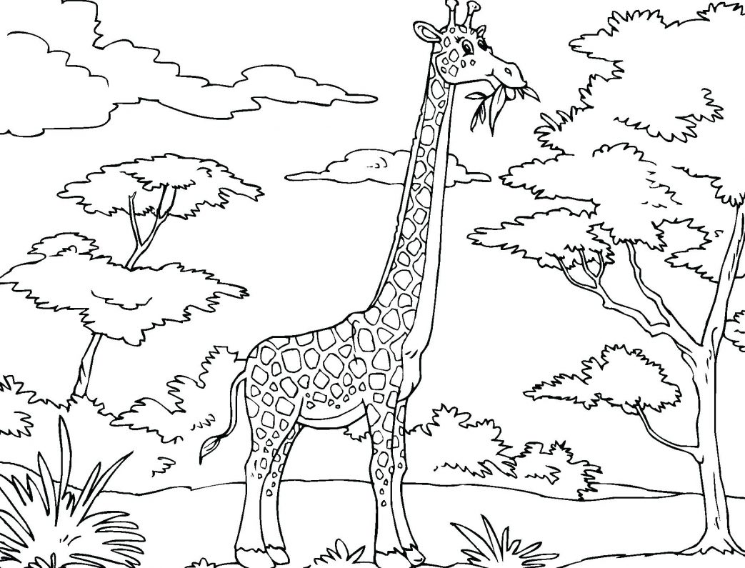 1043x795 Underwater Fish In The Sea Submarine Coloring Page Cartoon Giraffe