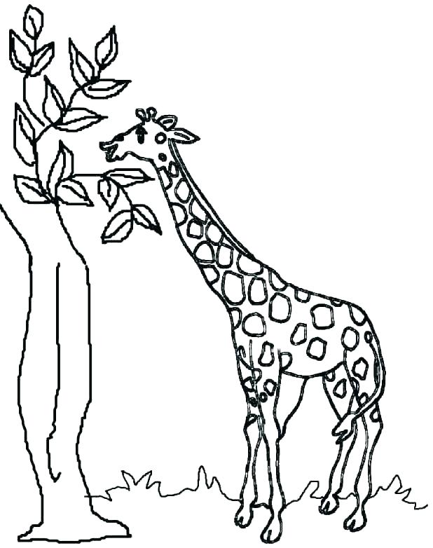 618x782 Coloring Giraffe Coloring Pages Printable Cute Cartoon Colouring