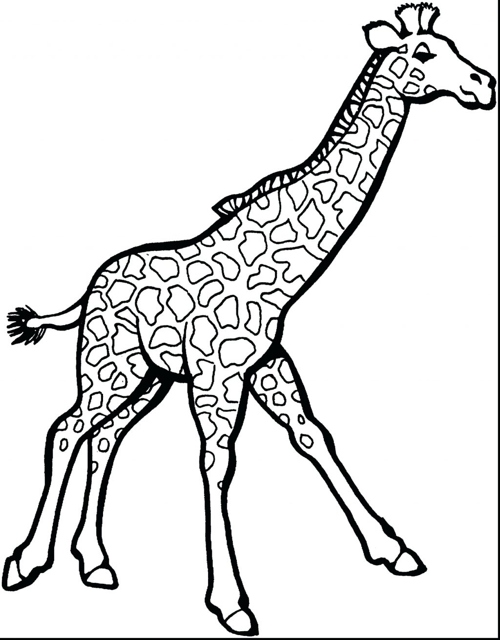 1024x1311 Coloring Pages Zoo Animals Coloring Pages Giraffe Cartoon Page