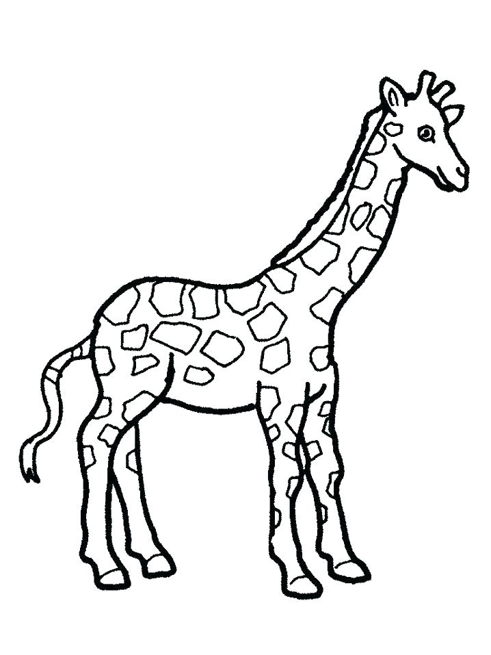 718x957 Giraffe Coloring Page Giraffe Coloring Pages To Print Giraffe
