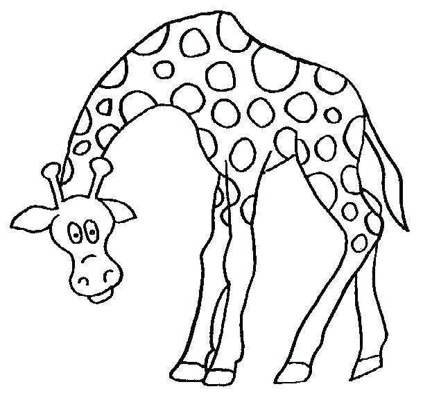 610x573 Giraffe Coloring Pages Pdf Coloring Pages Giraffe Coloring Pages