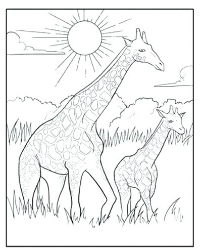 400x494 Giraffe Coloring Book