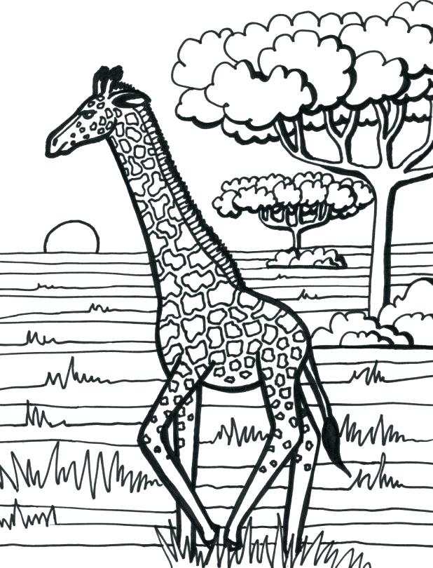 618x810 Giraffe Coloring Page Giraffe Coloring Pages A Preschool Giraffe