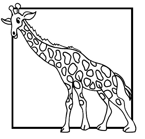 500x480 Kids N Coloring Pages Of Giraffe