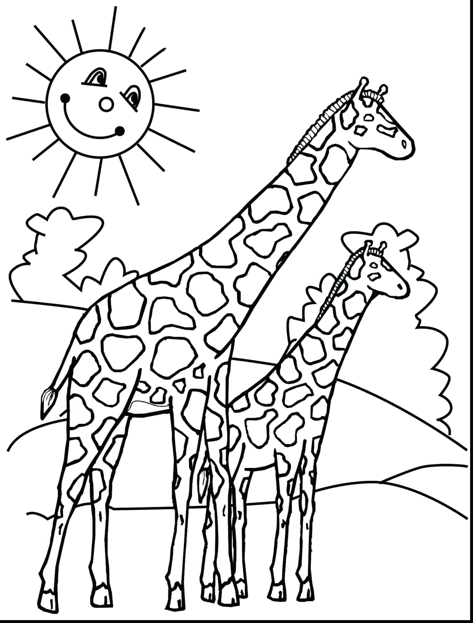 1645x2164 Baby Giraffe Coloring Pages Free Coloring For Kids