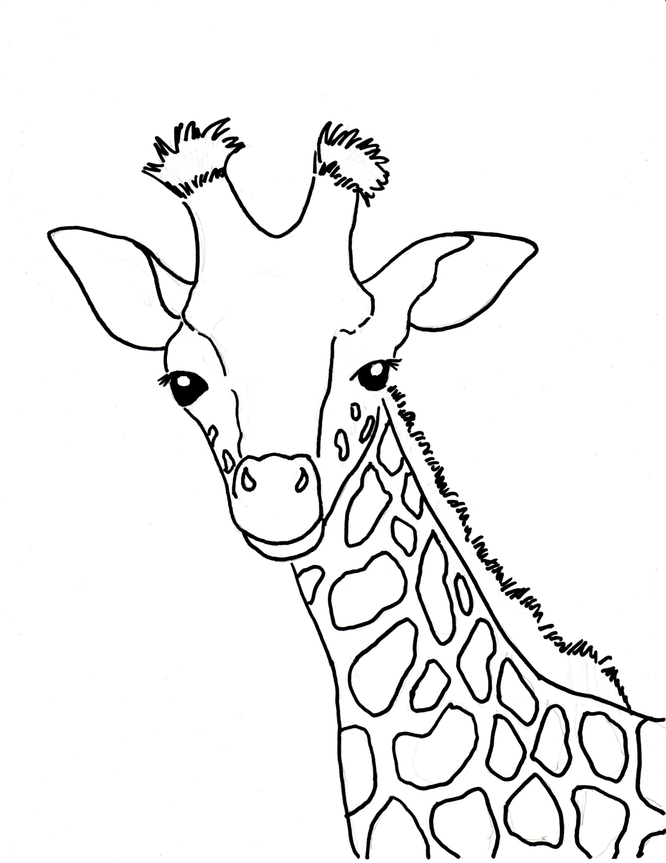 2545x3300 Giraffe Face Coloring Page Giraffe Coloring Pages Max Coloring