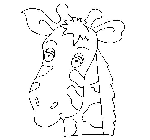 505x470 Giraffe Face Coloring Page