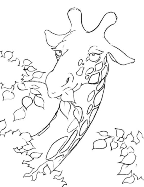 585x757 Print Download