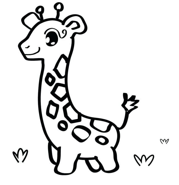 700x723 Easy Giraffe Drawing