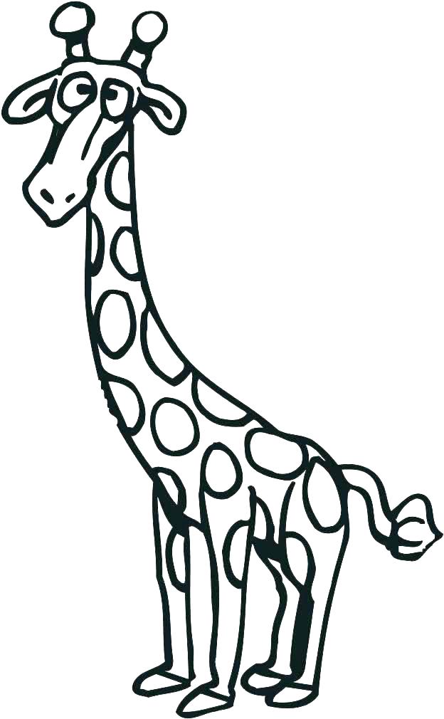 624x1010 Giraffe Coloring Book Coloring Giraffe Printable Giraffe Coloring