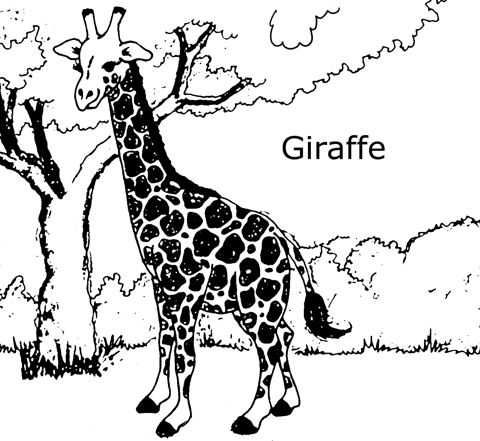 1526x1403 Giraffe Coloring Pages