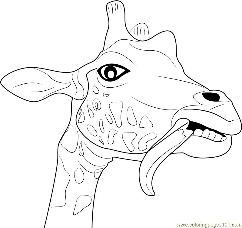 799x752 Giraffe Funny Face Coloring Page