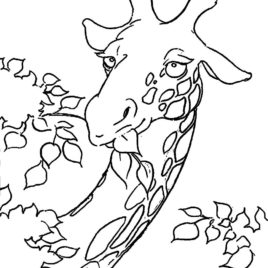268x268 Giraffe Head Coloring Page Kids Drawing And Coloring Pages