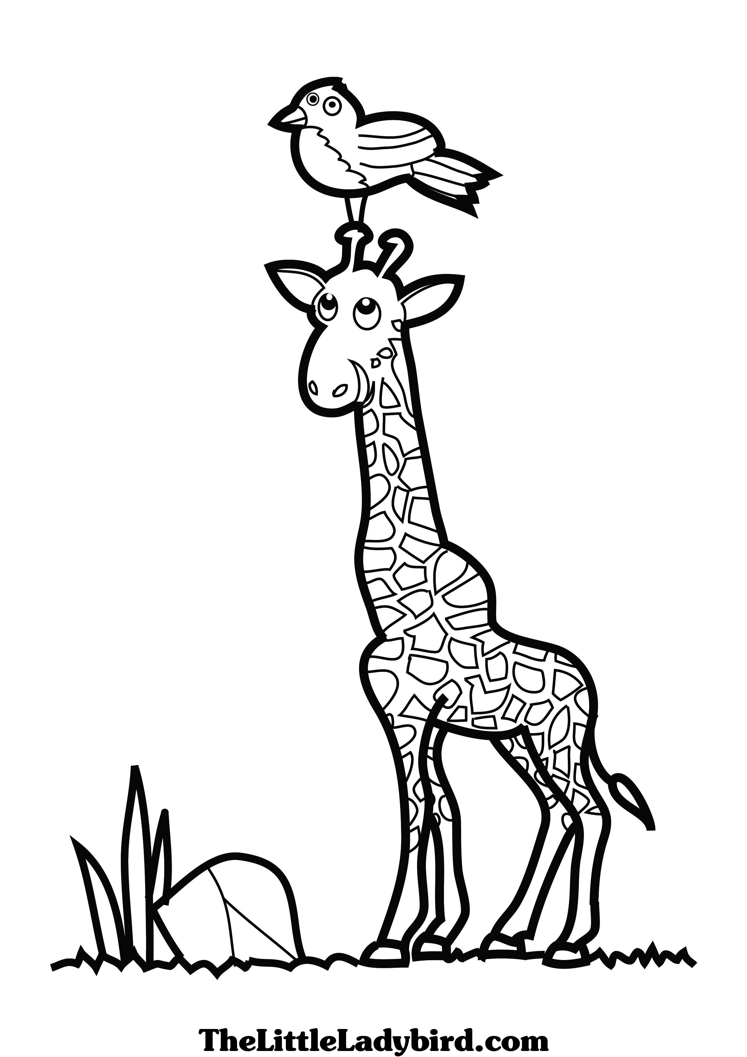 2480x3508 Giraffe Head Coloring Pages