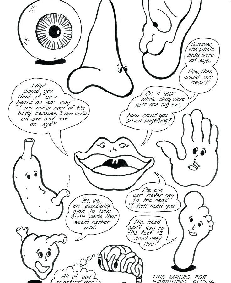 736x900 Impressive My Body Parts Coloring Pages With Details Learn