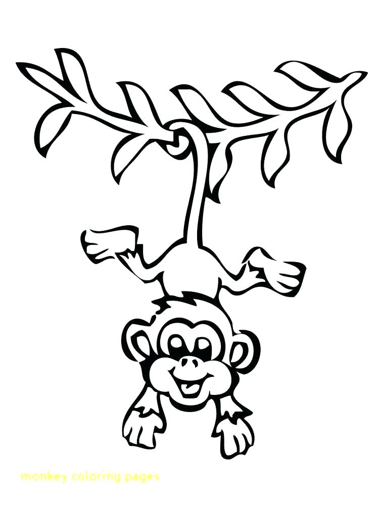 750x1000 Monkeys Coloring Pages Click To See Printable Version Of Or Spider