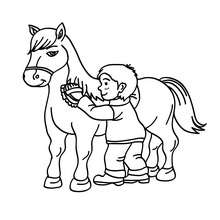 220x220 Equestrian Coloring Pages