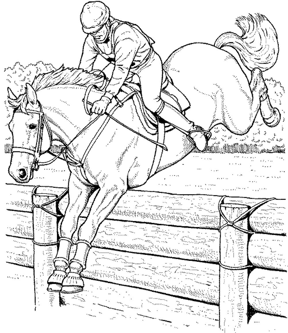1000x1158 Printable Horse Coloring Pages