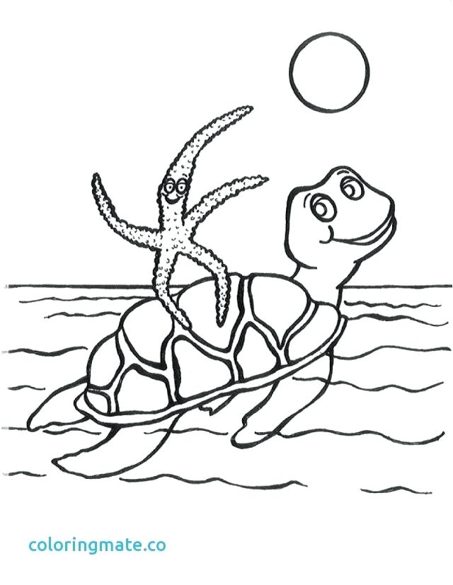 640x827 Swimming Coloring Pages Swimming Coloring Page Coloring Page