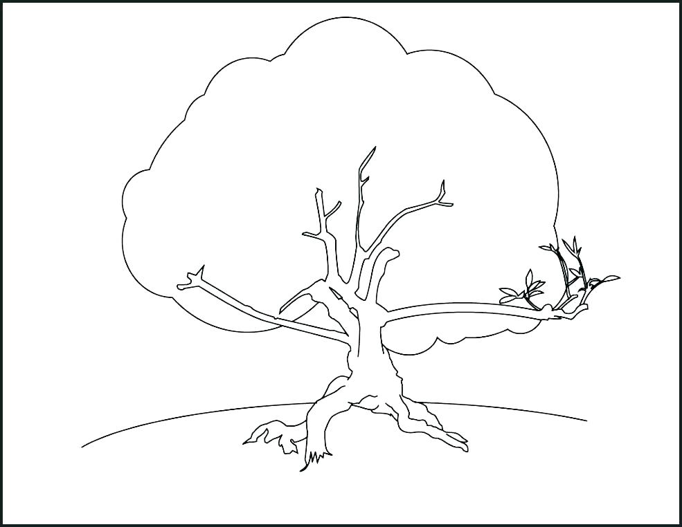 985x762 Printable Tree Coloring Pages Fall Tree Coloring Page Free
