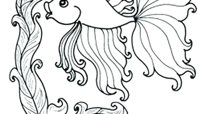 735x400 Ocean Life Coloring Pages