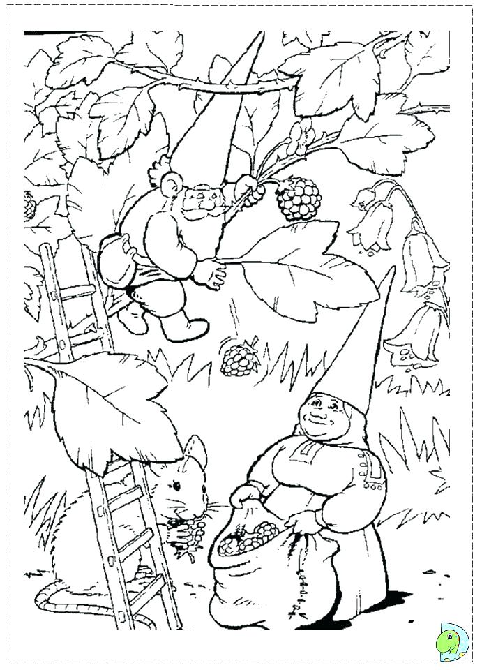 691x960 Gnome Coloring Pages