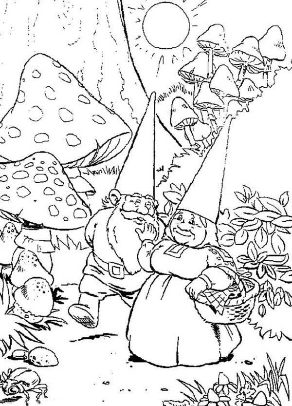 Gnome Coloring Pages at GetDrawings | Free download