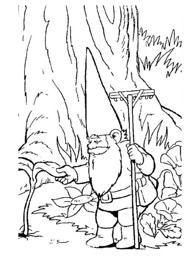 600x834 David The Gnome Checking His Plant Coloring Pages Batch Coloring