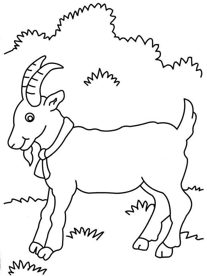 720x960 Goat Coloring Page Printable