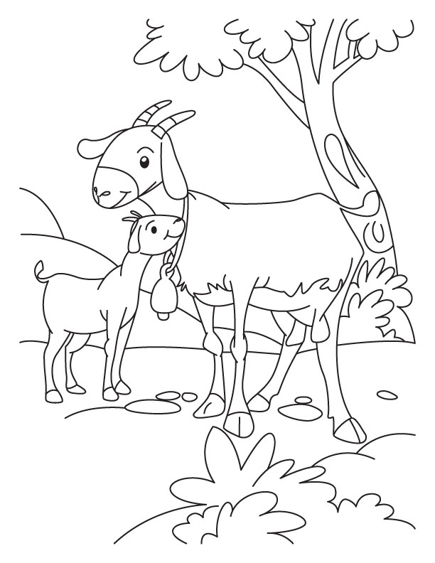 612x792 Kid Goat Coloring Pages