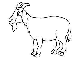 259x194 Mejores De Goat Coloring Pages En Animales