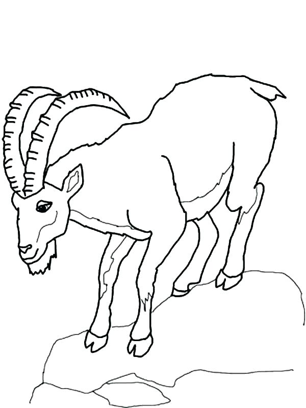 600x799 Mountain Coloring Page Mountain Coloring Pages Print Pics Goat