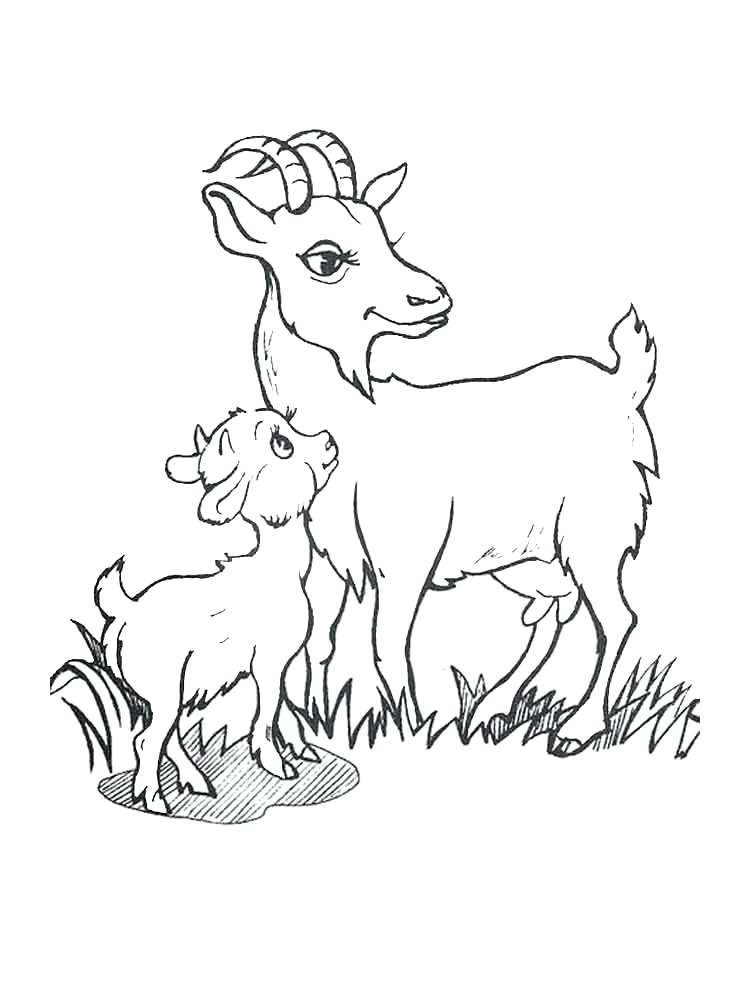 750x1000 Baby Goat Coloring Pages Ba Goat Coloring Pages